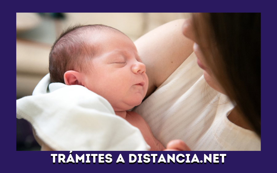 Partida nacimiento Argentina online